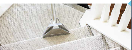 Carpet Steam Cleaners